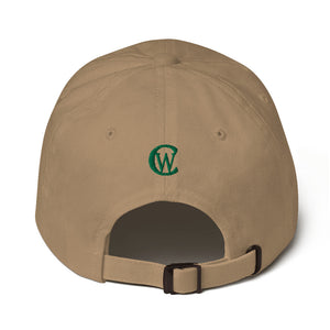 CW Fashionable hat