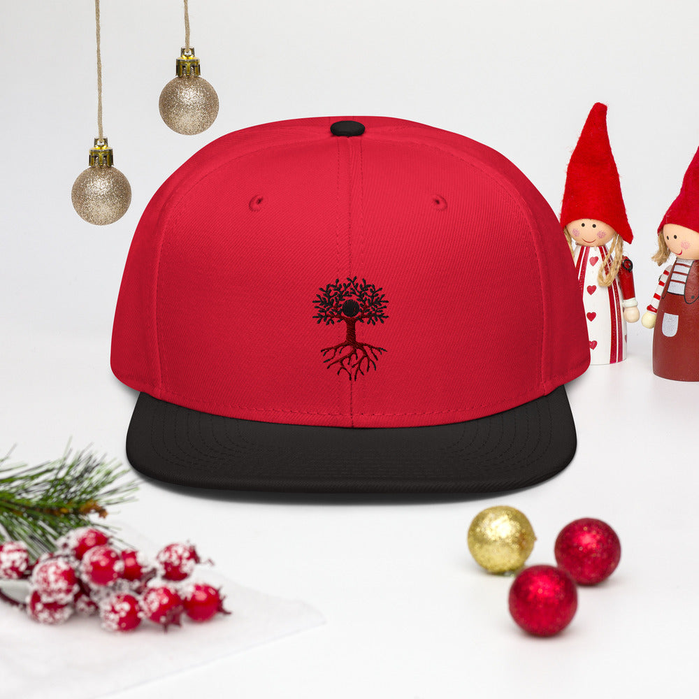 Snapback Hat