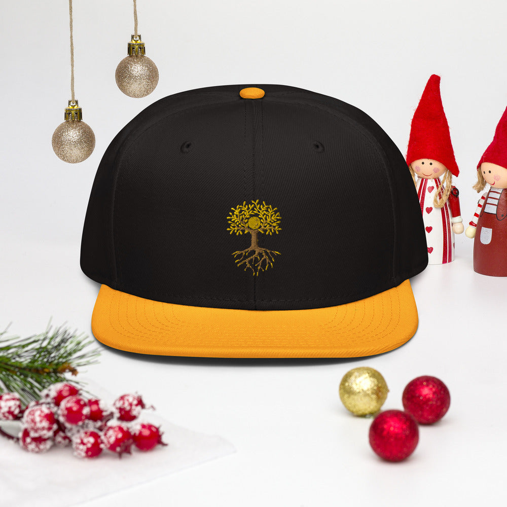 Snapback Hat