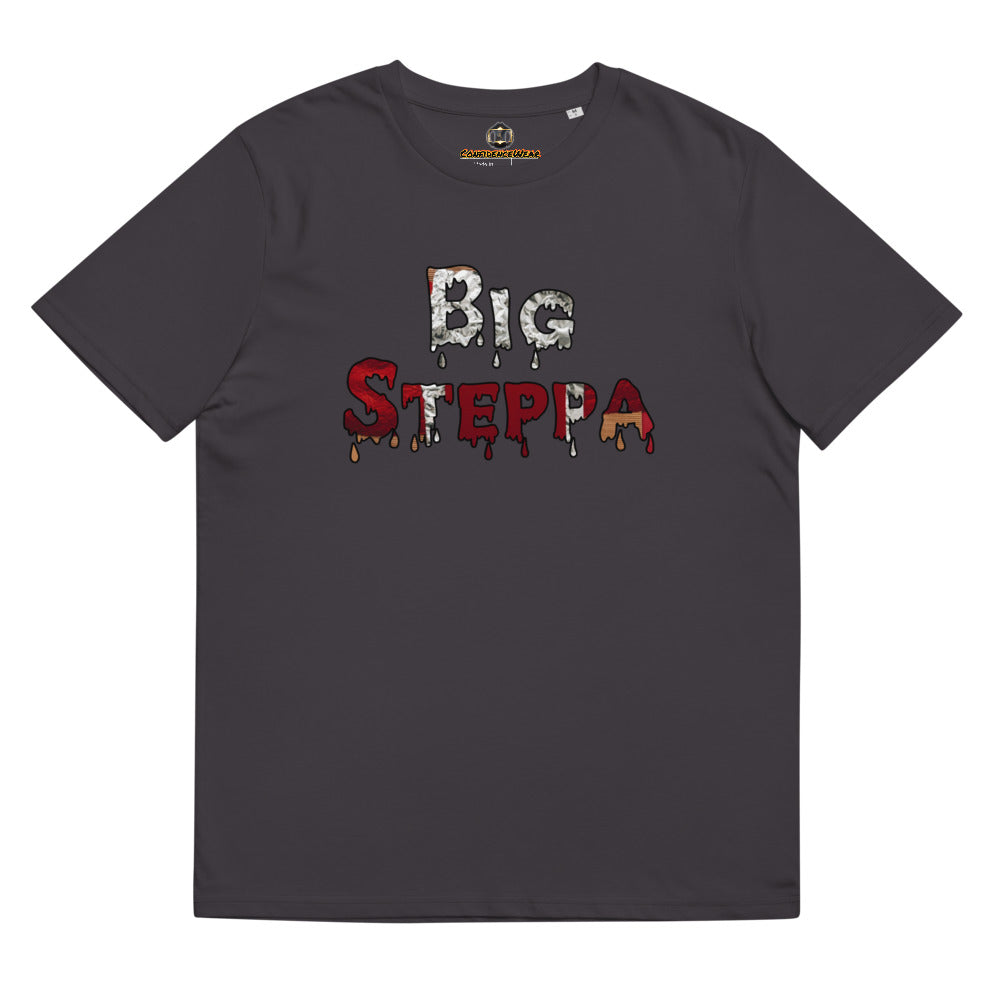 Unisex organic cotton t-shirt