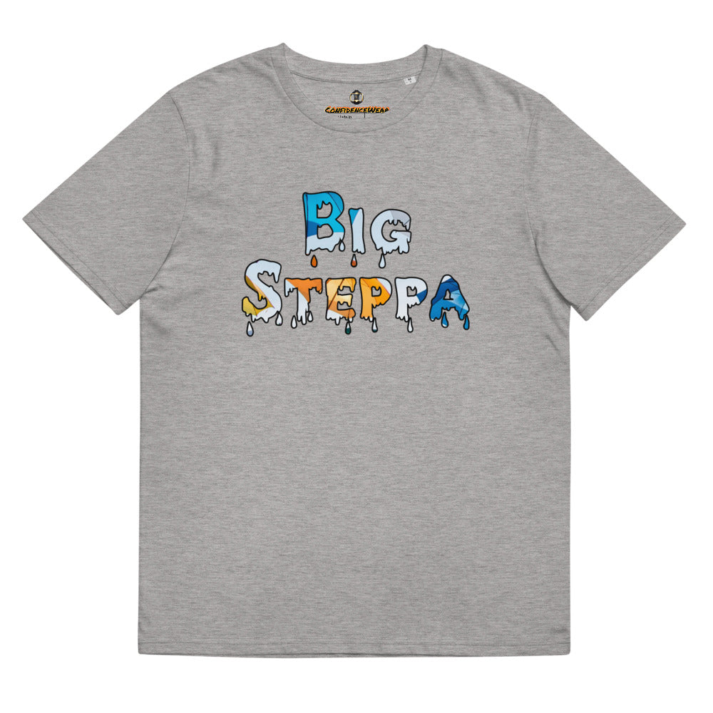 Unisex organic cotton t-shirt