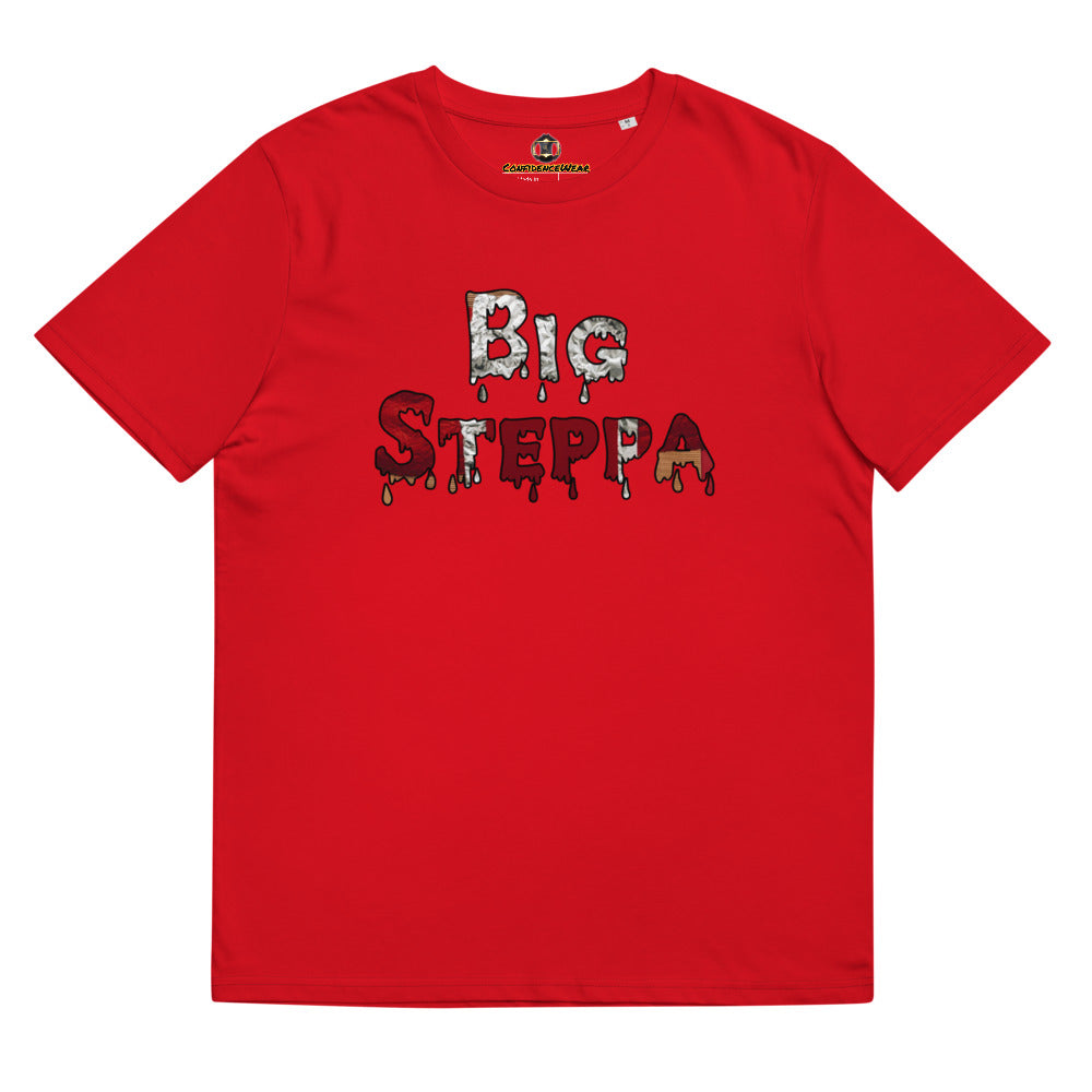 Unisex organic cotton t-shirt