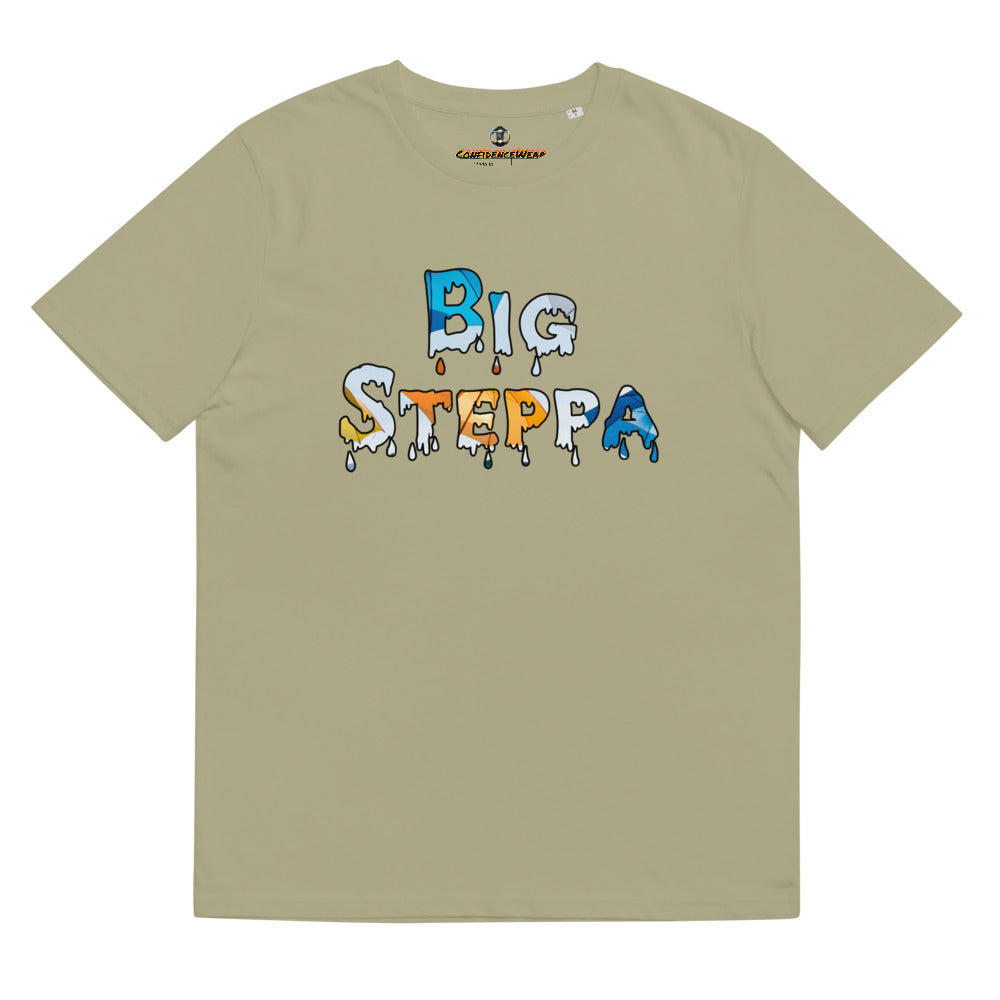 Unisex organic cotton t-shirt