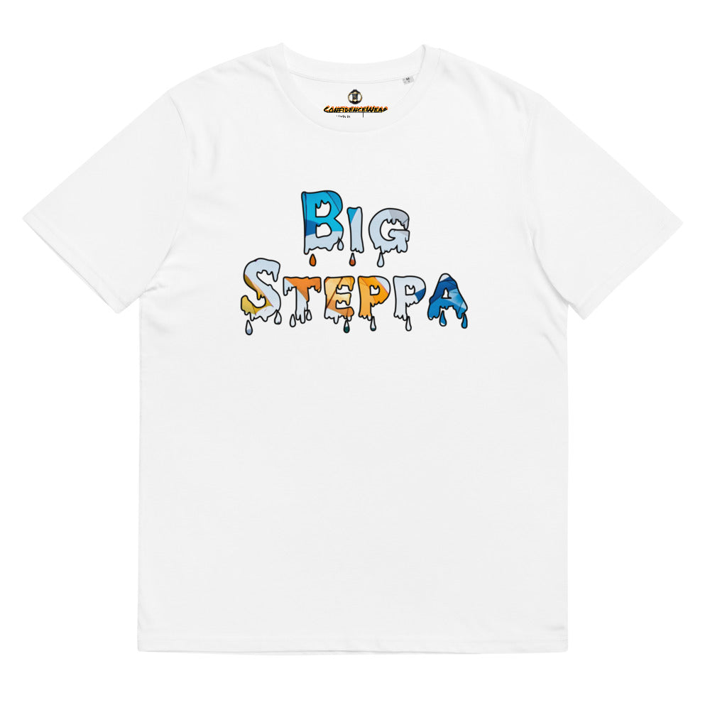 Unisex organic cotton t-shirt